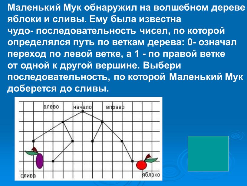 Маленький Мук обнаружил на волшебном дереве яблоки и сливы