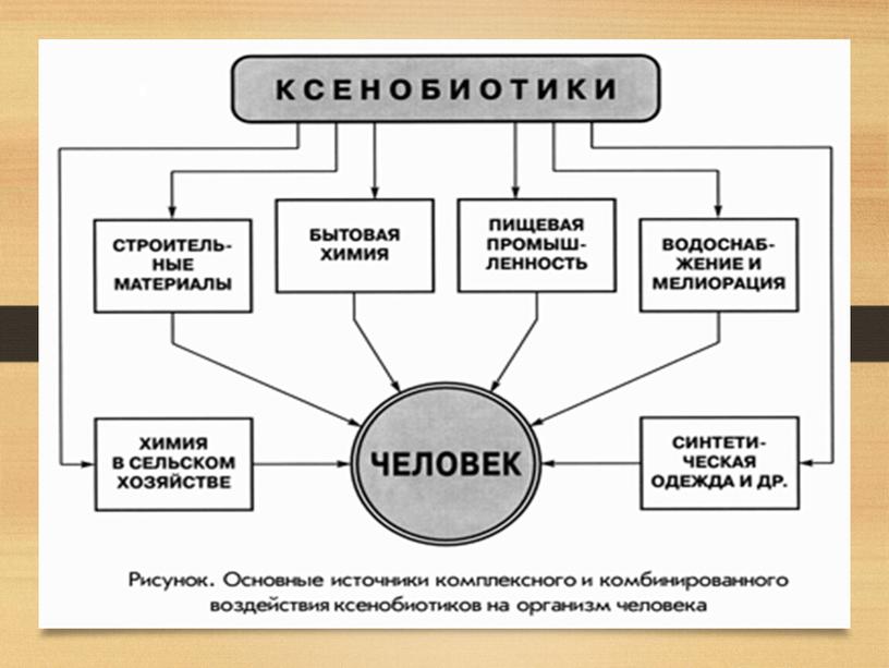 Учебно-методическое пособие по Экологическим основам природопользования