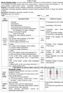 Jismoniy tarbiya konspekti 1- sinflar uchun