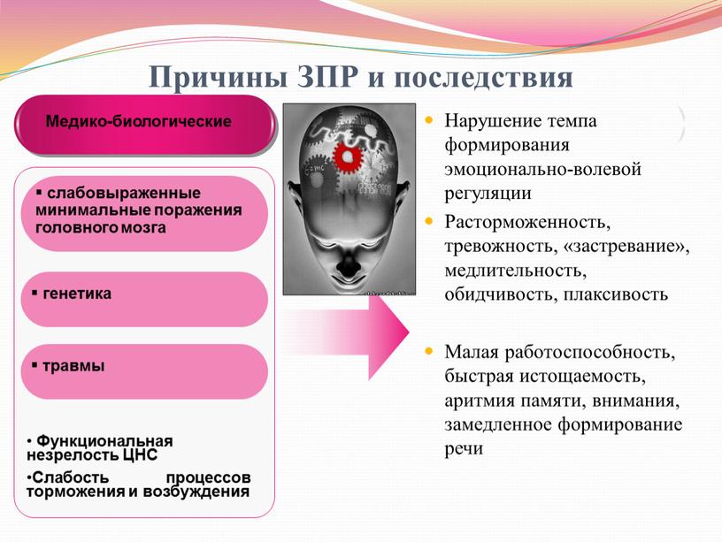 Причины ЗПР и последствия Нарушение темпа формирования эмоционально-волевой регуляции