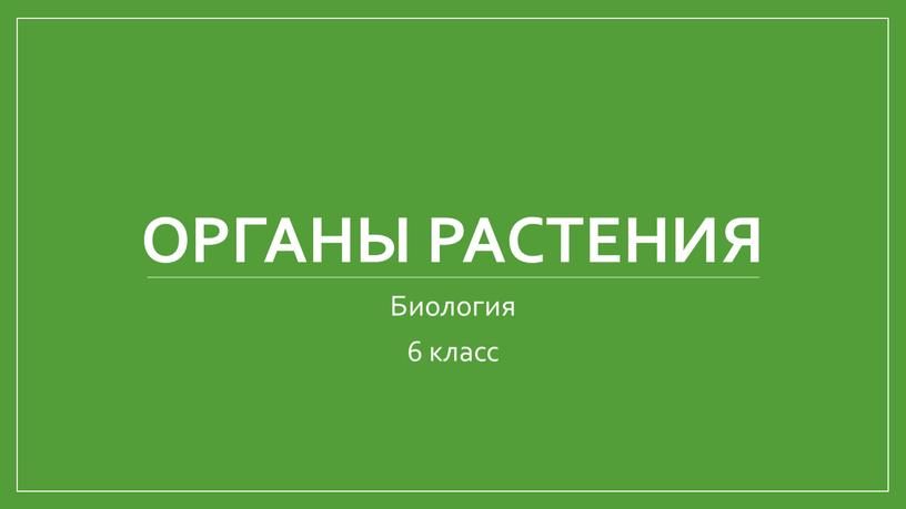 Органы растения Биология 6 класс