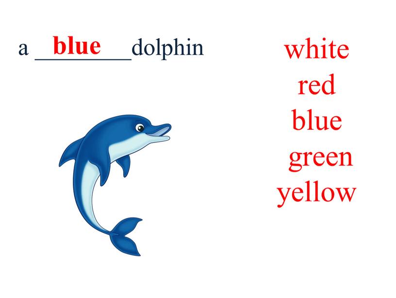 white red blue green yellow a ________dolphin blue