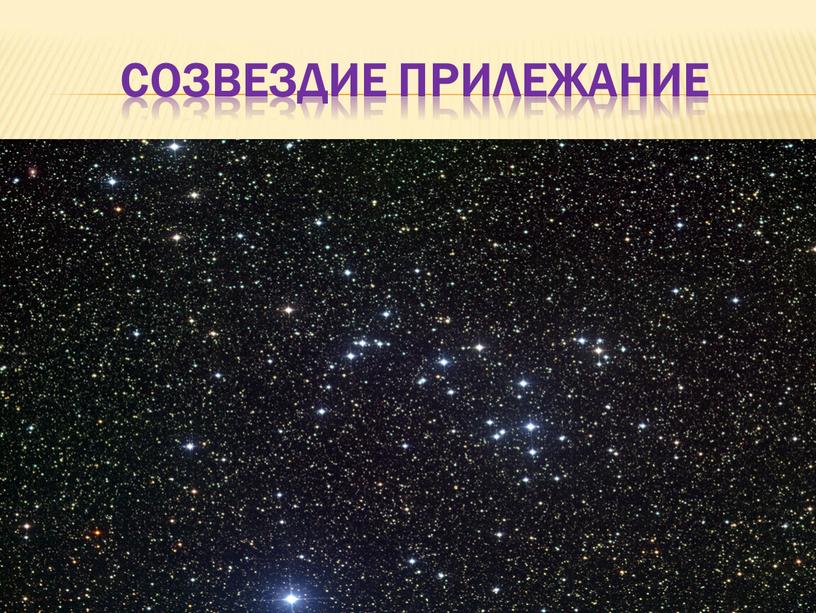 Созвездие Прилежание