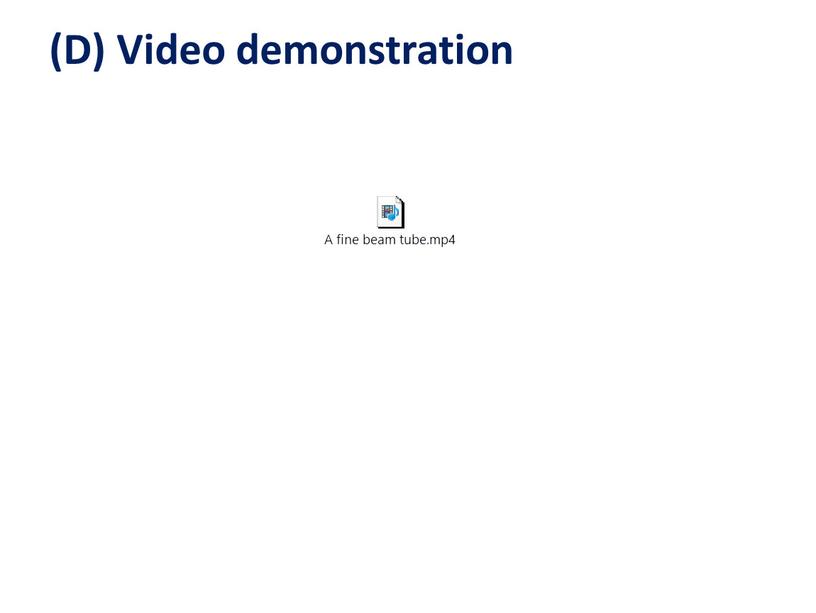 (D) Video demonstration