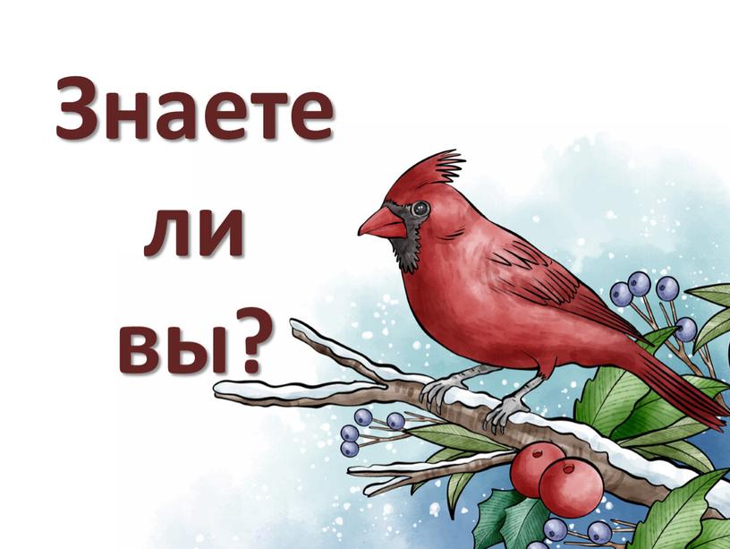 Знаете ли вы?