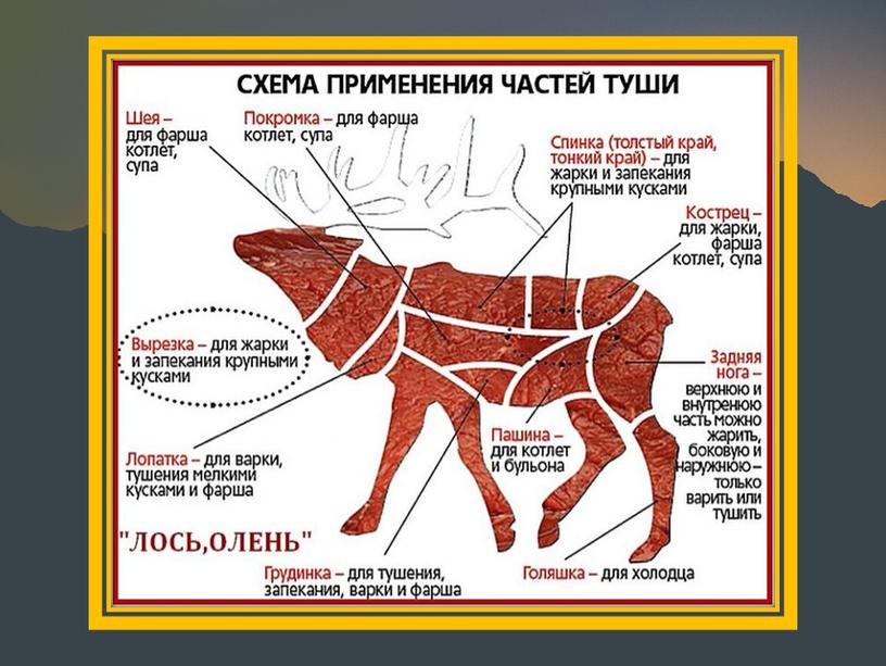 Презентация по теме :Мясо диких животных .Олень и лось