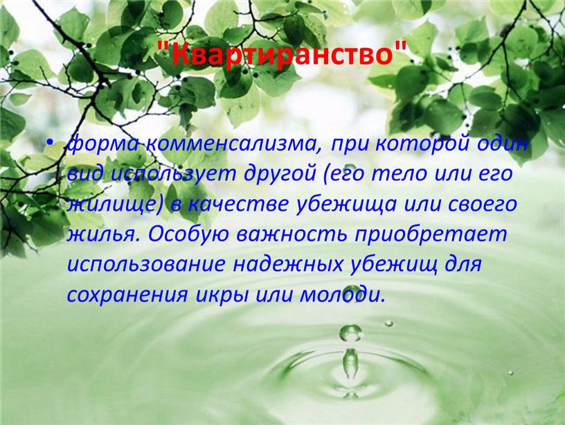 Квартиранство" форма комменсализма, при которой один вид использует другой (его тело или его жилище) в качестве убежища или своего жилья