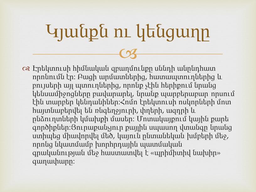 Էրեկտուսի հիմնական զբաղմունքը սննդի անընդհատ որոնումն էր: Բացի արմատներից, հատապտուղներից և բույսերի այլ պտուղներից, որոնք չէին հերիքում նրանց կենսամիջոցները բավարարել, նրանք պարբերաբար որսում էին տարբեր…