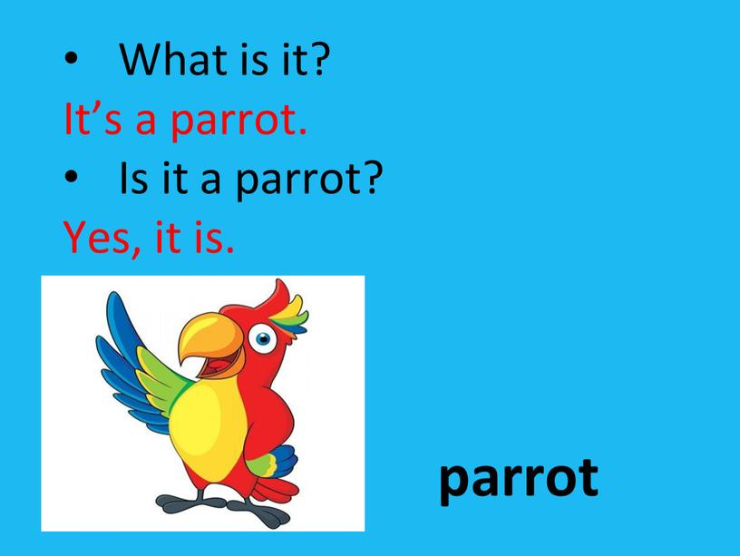 What is it? It’s a parrot. Is it a parrot?