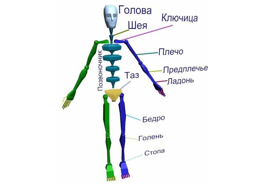 Оказание первой помощи при переломах