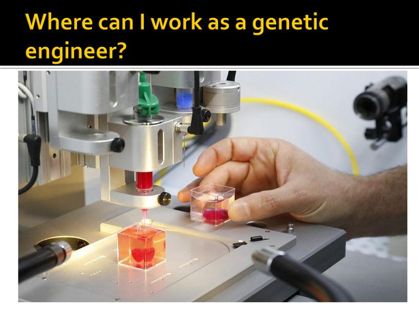 Where can I work as a genetic engineer?