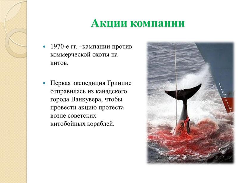 Акции компании 1970-е гг. –кампании против коммерческой охоты на китов