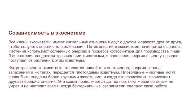 Созависимость в экосистеме Все члены экосистемы имеют уникальные отношения друг с другом и зависят друг от друга, чтобы получать энергию для выживания