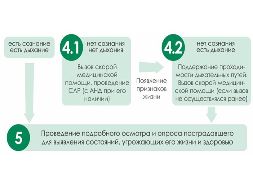 Изменения в вопросах оказания первой помощи пострадавшим 2024