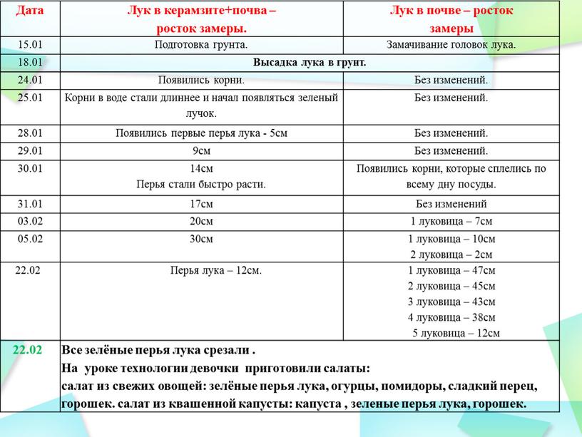 Дата Лук в керамзите+почва – росток замеры