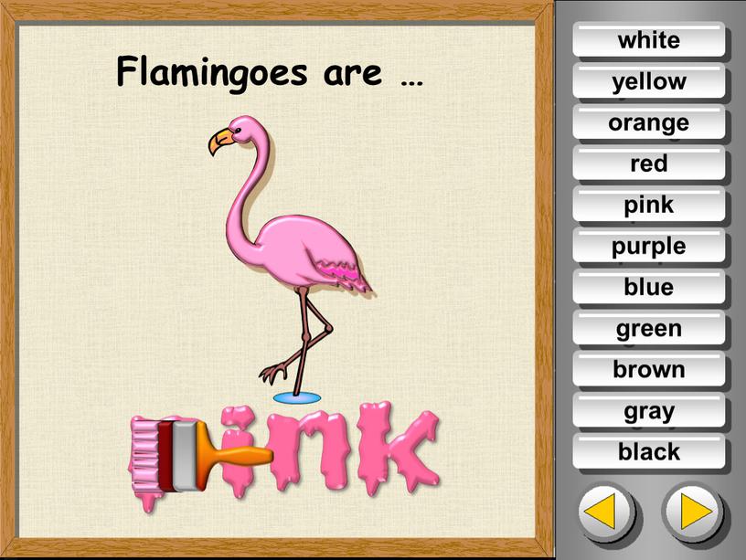 Flamingoes are … white yellow orange red purple blue green brown gray black pink