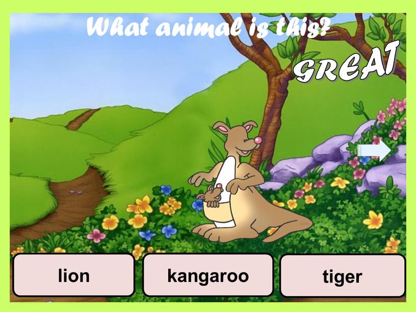 What animal is this? tiger kangaroo lion