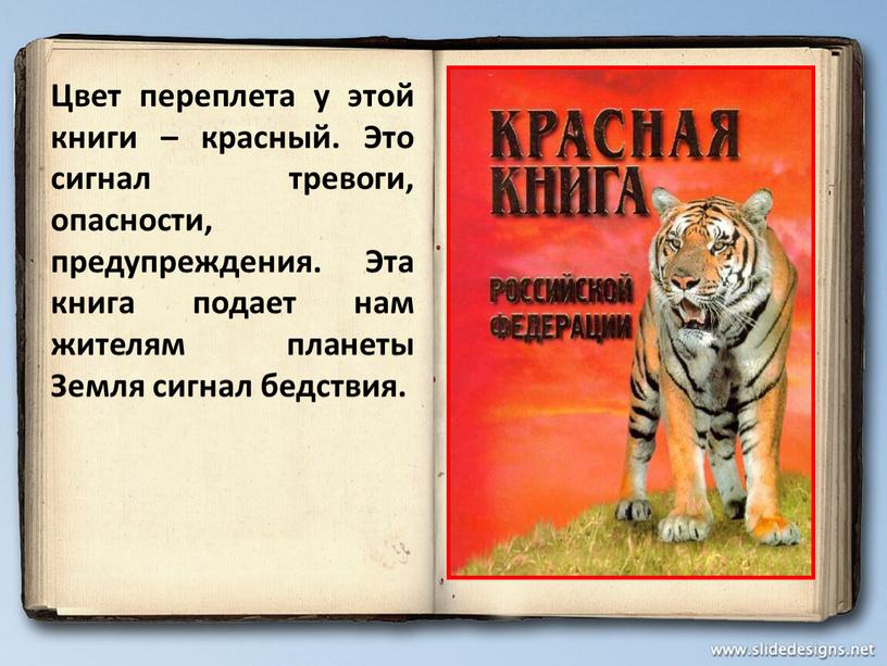 Цвет переплета у этой книги – красный