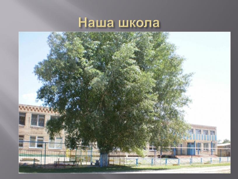 Наша школа