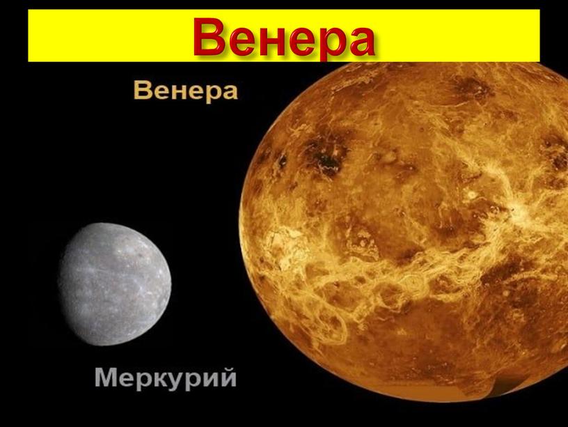 Венера