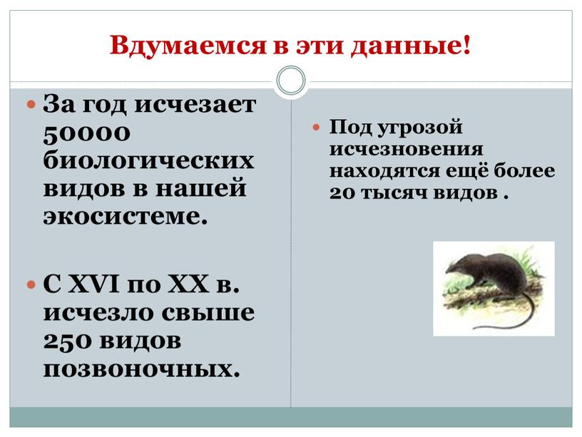 Вдумаемся в эти данные! За год исчезает 50000 биологических видов в нашей экосистеме