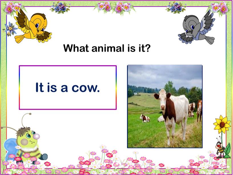 What animal is it? It is a cow