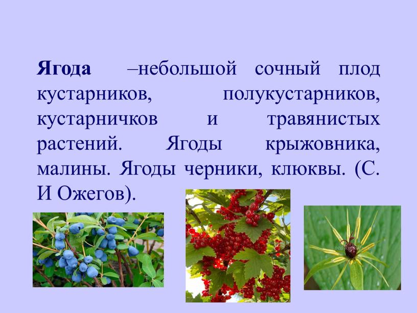 Ягода –небольшой сочный плод кустарников, полукустарников, кустарничков и травянистых растений