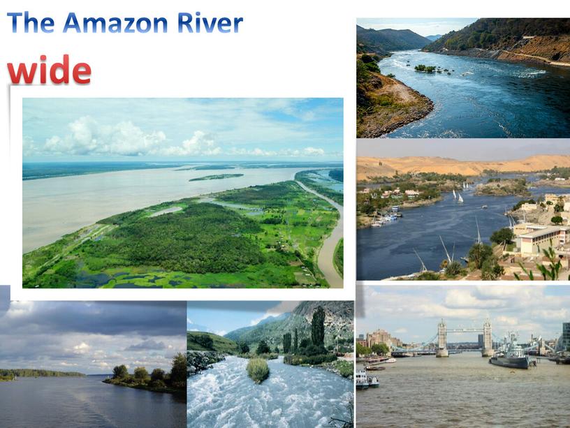 The Amazon River wide