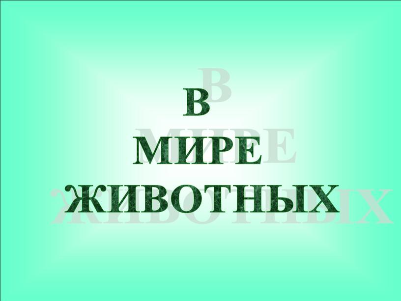 В МИРЕ ЖИВОТНЫХ