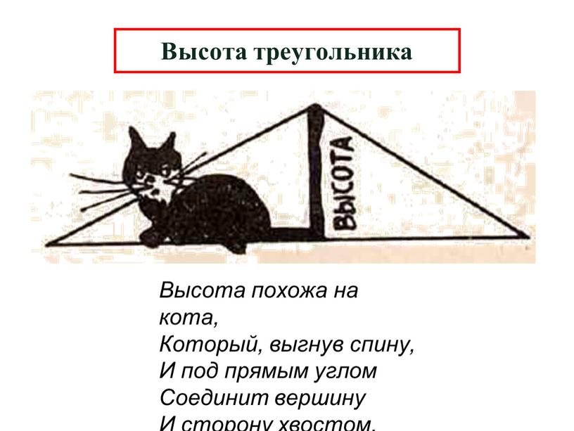 Высота треугольника Высота похожа на кота,