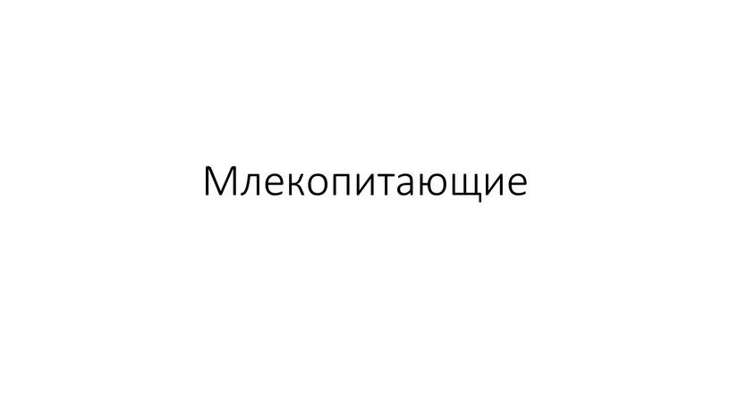 Млекопитающие