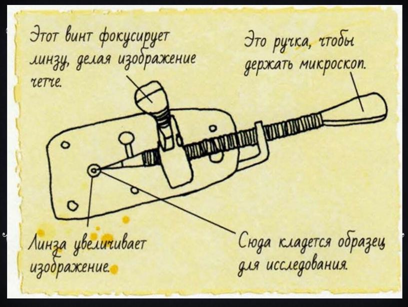 Экологический квиз