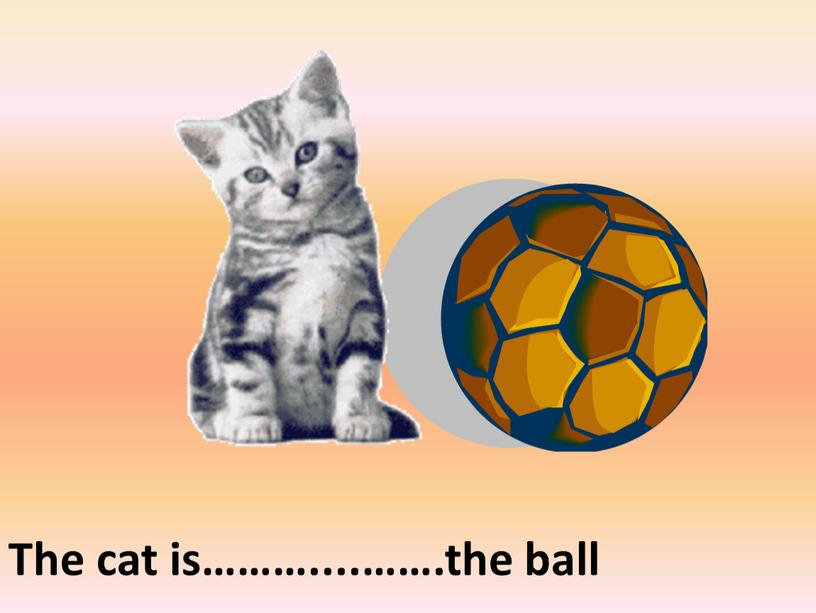 The cat is………....…….the ball next to