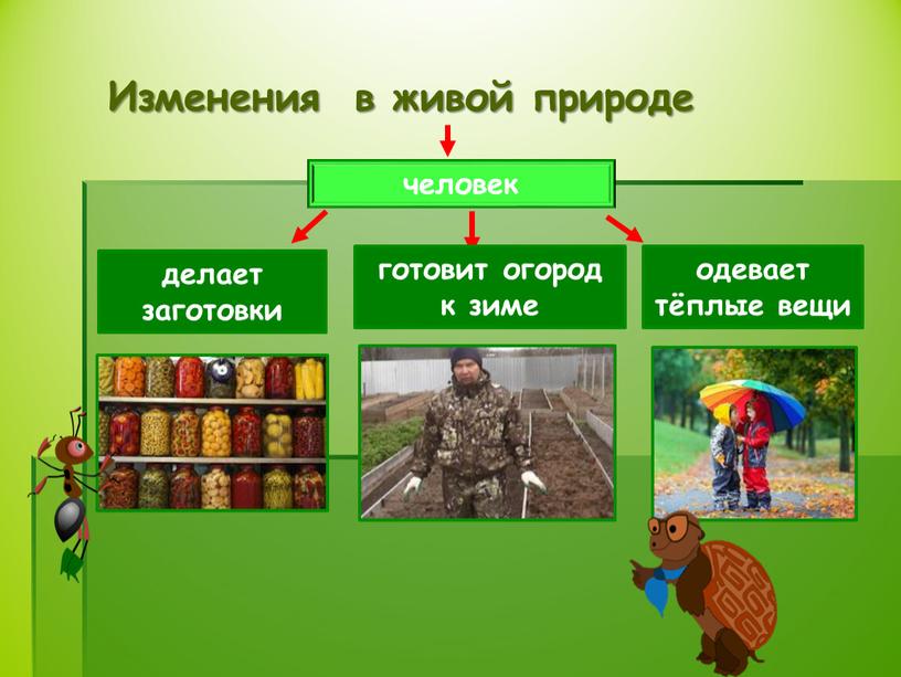 Изменения в живой природе человек делает заготовки готовит огород к зиме одевает тёплые вещи