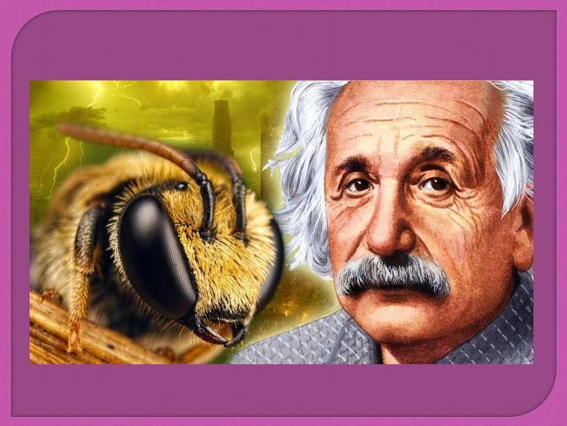 Презентация " Нет жизни на земле без пчел"