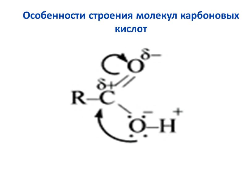 Особенности строения молекул карбоновых кислот