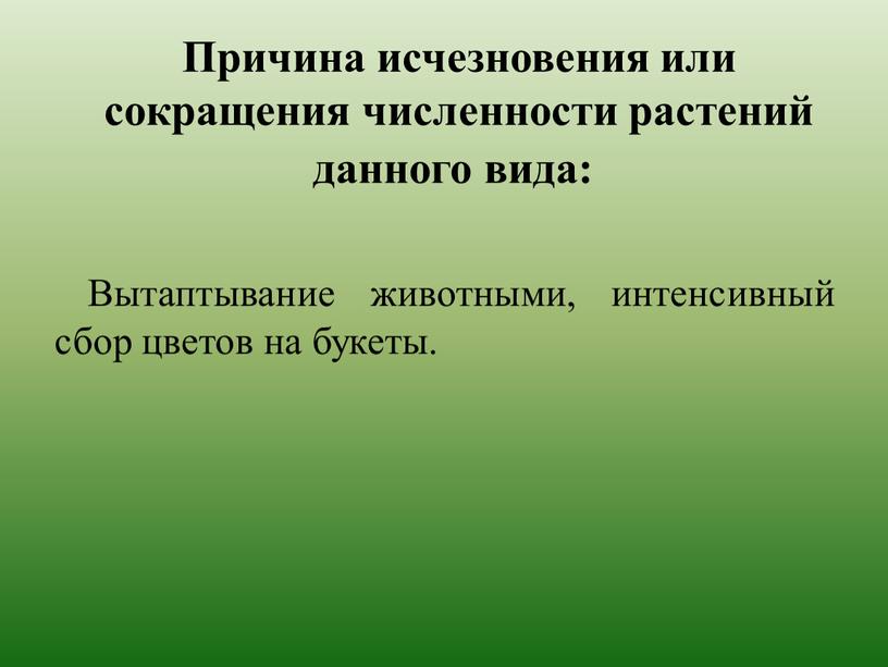 Причина исчезновения или сокращения численности растений данного вида: