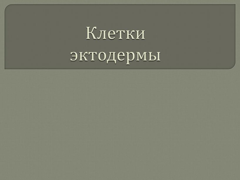 Кишечнополостные , 8класс, биология