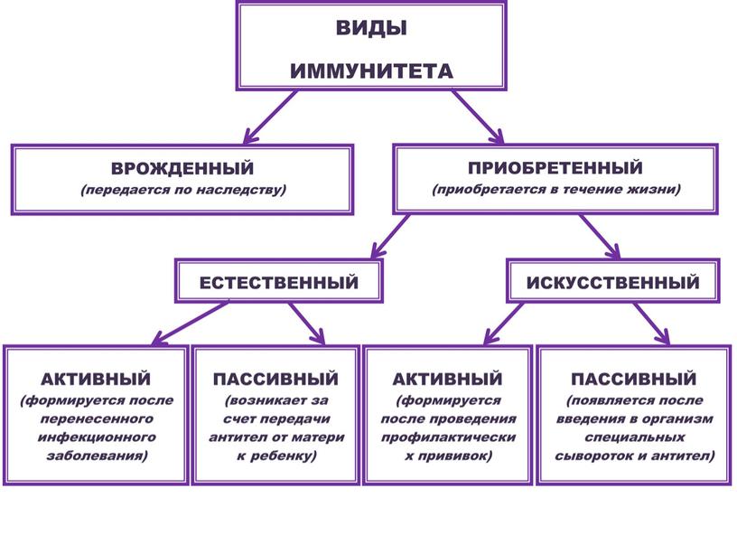 Подготовка к контрольной работе за курс 8-го класса