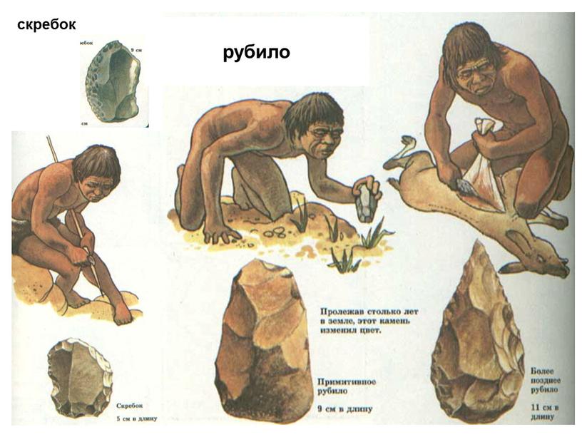 Орудия труда скребок рубило