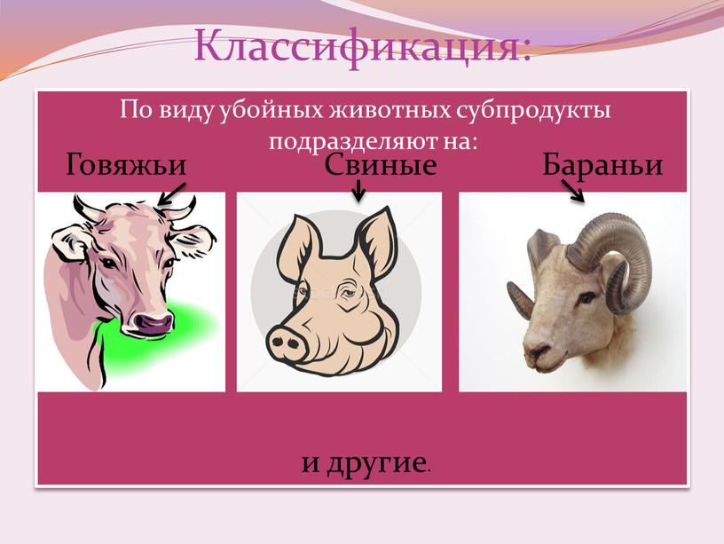 Классификация: По виду убойных животных субпродукты подразделяют на: и другие