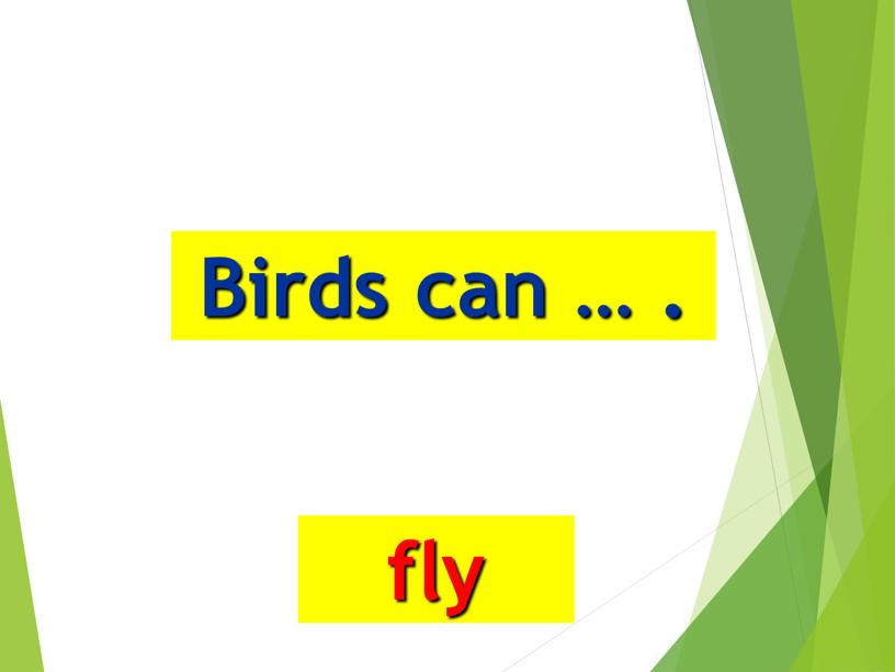 Birds can … . fly