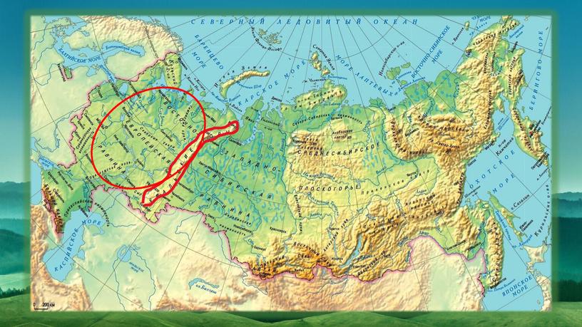 Презентация к уроку по окружающему миру "Равнины и горы России"