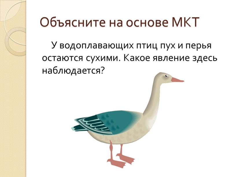 Объясните на основе МКТ У водоплавающих птиц пух и перья остаются сухими