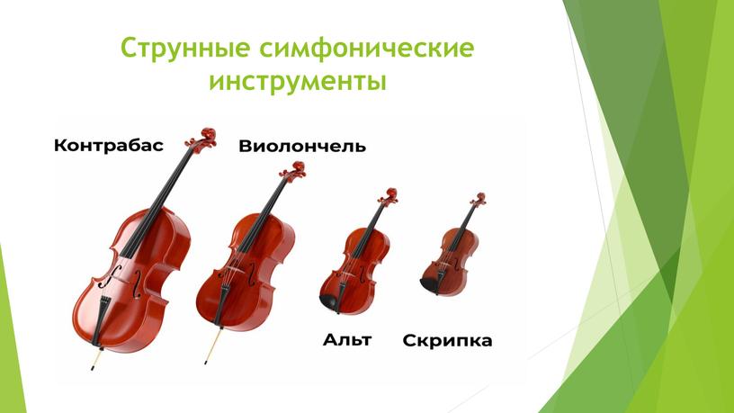Струнные симфонические инструменты