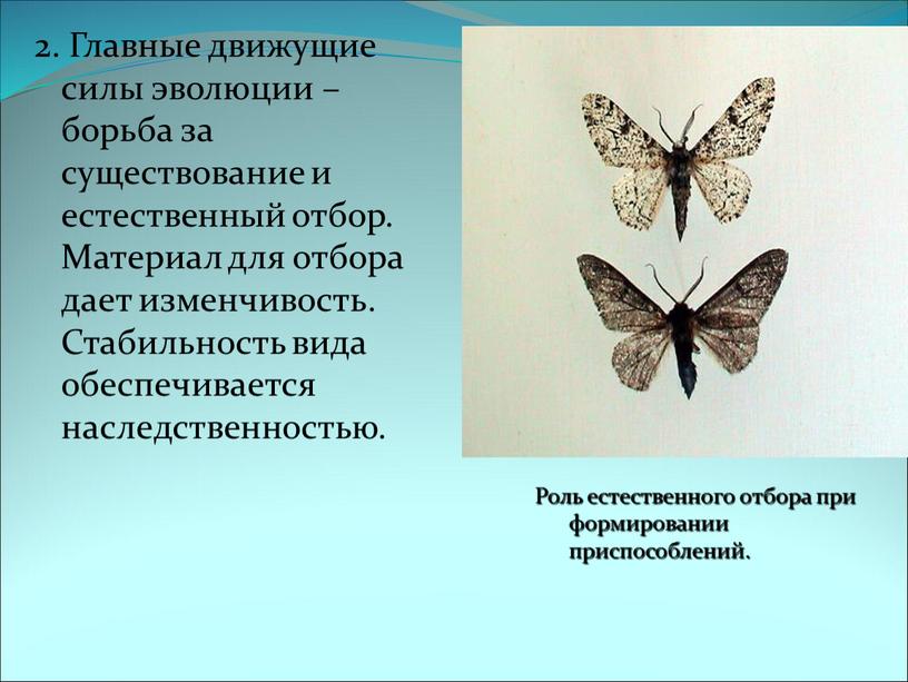 Главные движущие силы эволюции – борьба за существование и естественный отбор