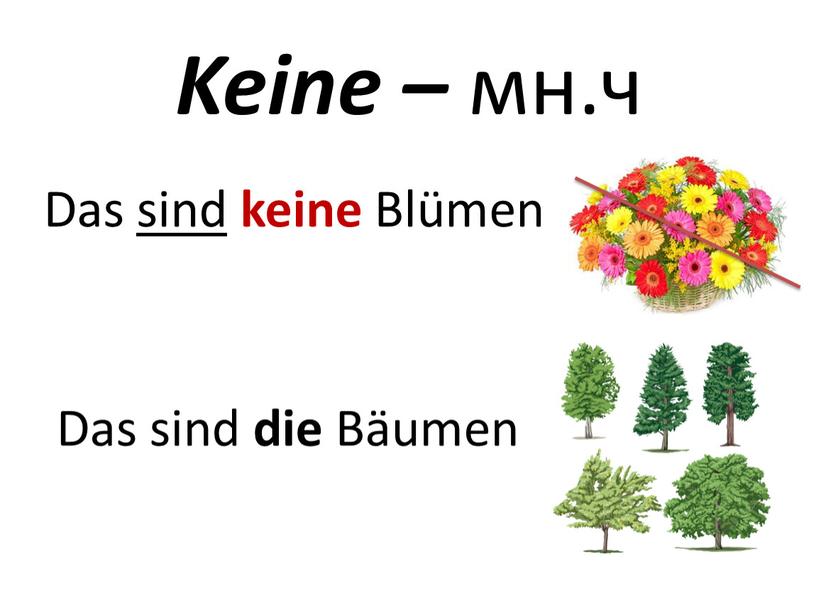 Das sind keine Blümen Keine – мн