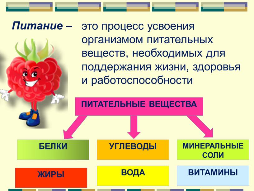 БЕЛКИ УГЛЕВОДЫ МИНЕРАЛЬНЫЕ СОЛИ