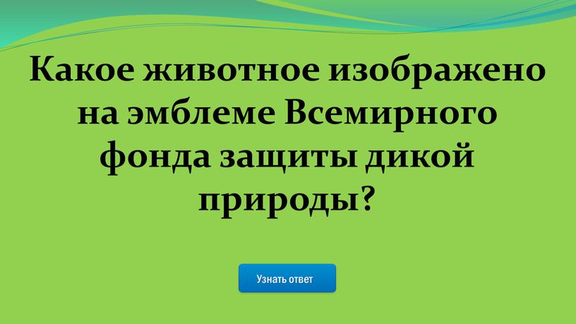 Узнать ответ Какое животное изображено на эмблеме