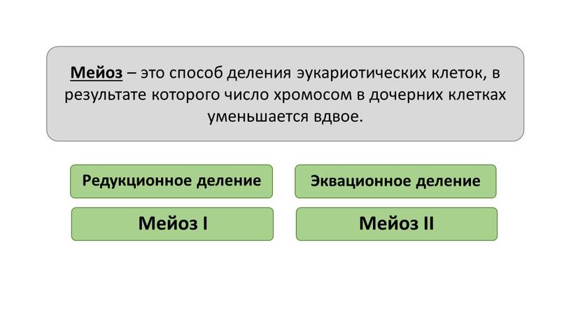 Мейоз – это способ деления эукариотических клеток, в результате которого число хромосом в дочерних клетках уменьшается вдвое